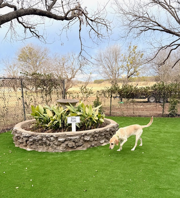 pet turf